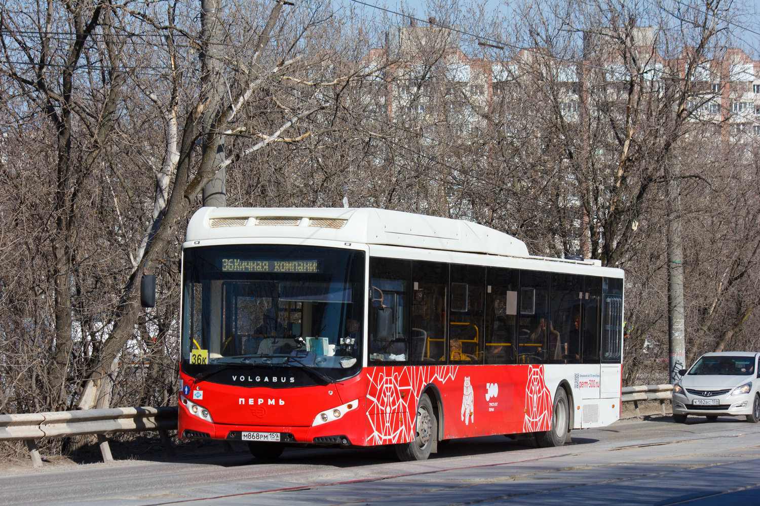 Пермский край, Volgabus-5270.G2 (CNG) № М 868 РМ 159