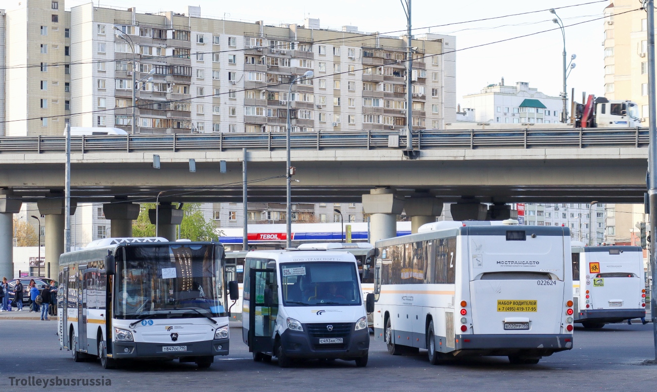 Maskvos sritis, LiAZ-4292.60 (1-2-1) Nr. 043847; Maskvos sritis, Luidor-225019 (GAZ Next) Nr. С 493 АК 790; Maskvos sritis, LiAZ-5250 Nr. 022624