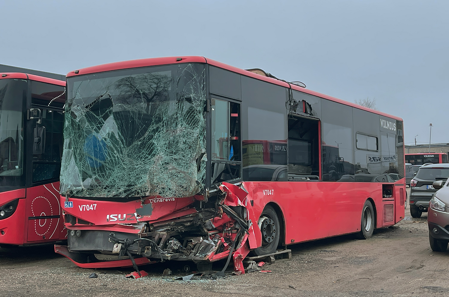 Литва, Anadolu Isuzu Citibus (Yeni) № V7047