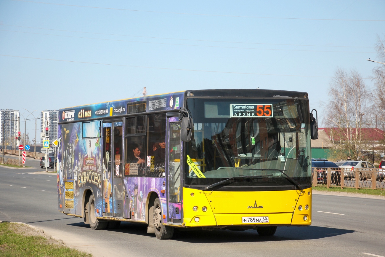 Псковская область, МАЗ-206.068 № Н 789 МА 60 Псковская область, МАЗ-206.068 № Н 789 МА 60