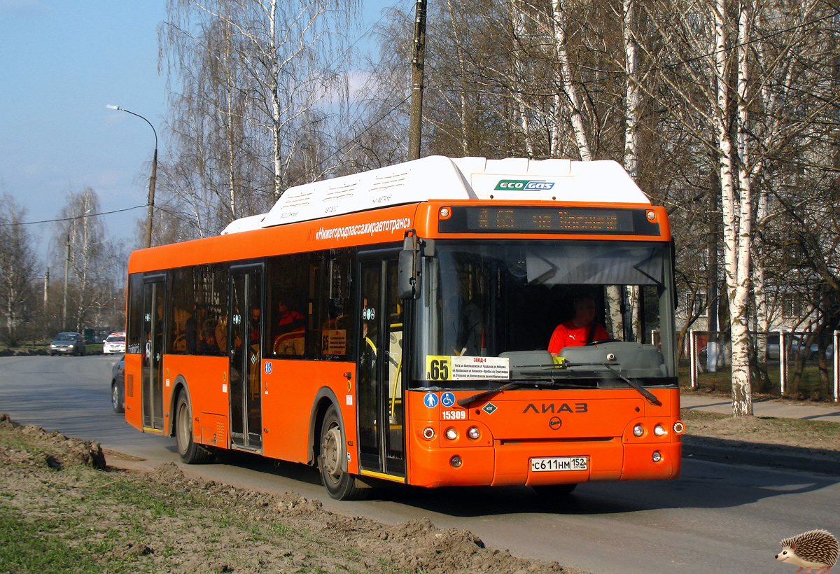 Нижегородская область, ЛиАЗ-5292.67 (CNG) № 15309