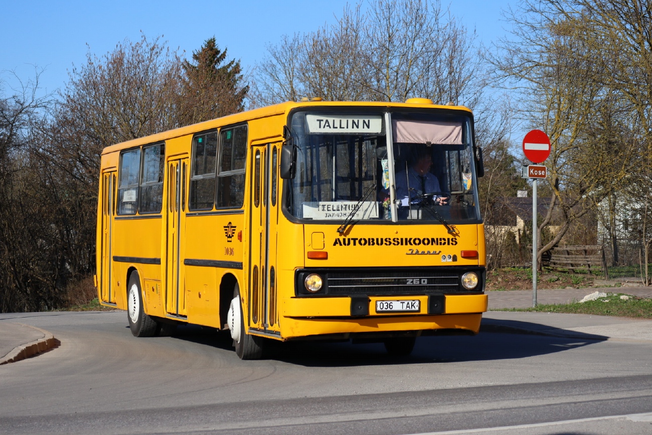 Эстония, Ikarus 260.37 № 1036