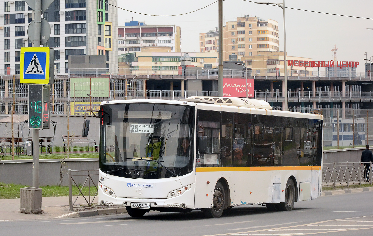 Московская область, Volgabus-5270.0H № М 600 СР 750