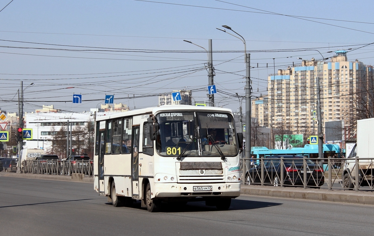 Ленинградская область, ПАЗ-320402-05 № В 565 УМ 47