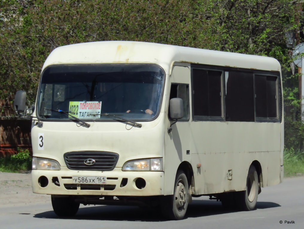 Ростовская область, Hyundai County SWB C08 (РЗГА) № 3