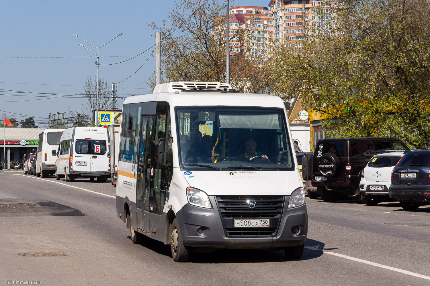 Московская область, Луидор-2250DS (ГАЗ Next) № 3219