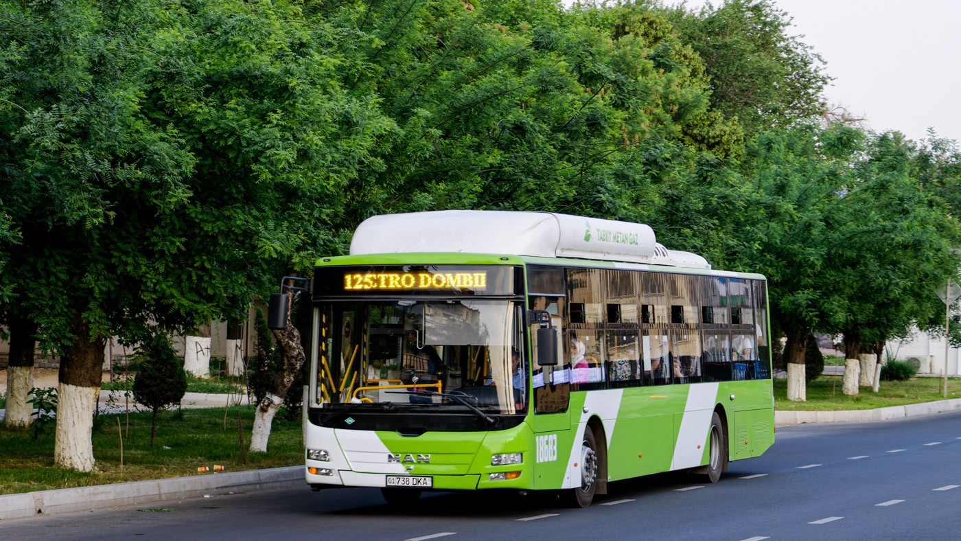 Узбекистан, Gemilang (MAN Auto-Uzbekistan) № 18683