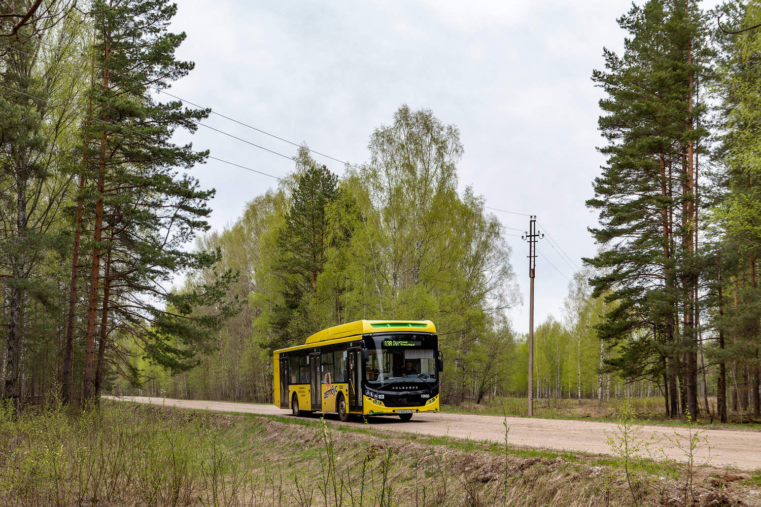 Ярославская область, Volgabus-5270.G4 (CNG) № 10550