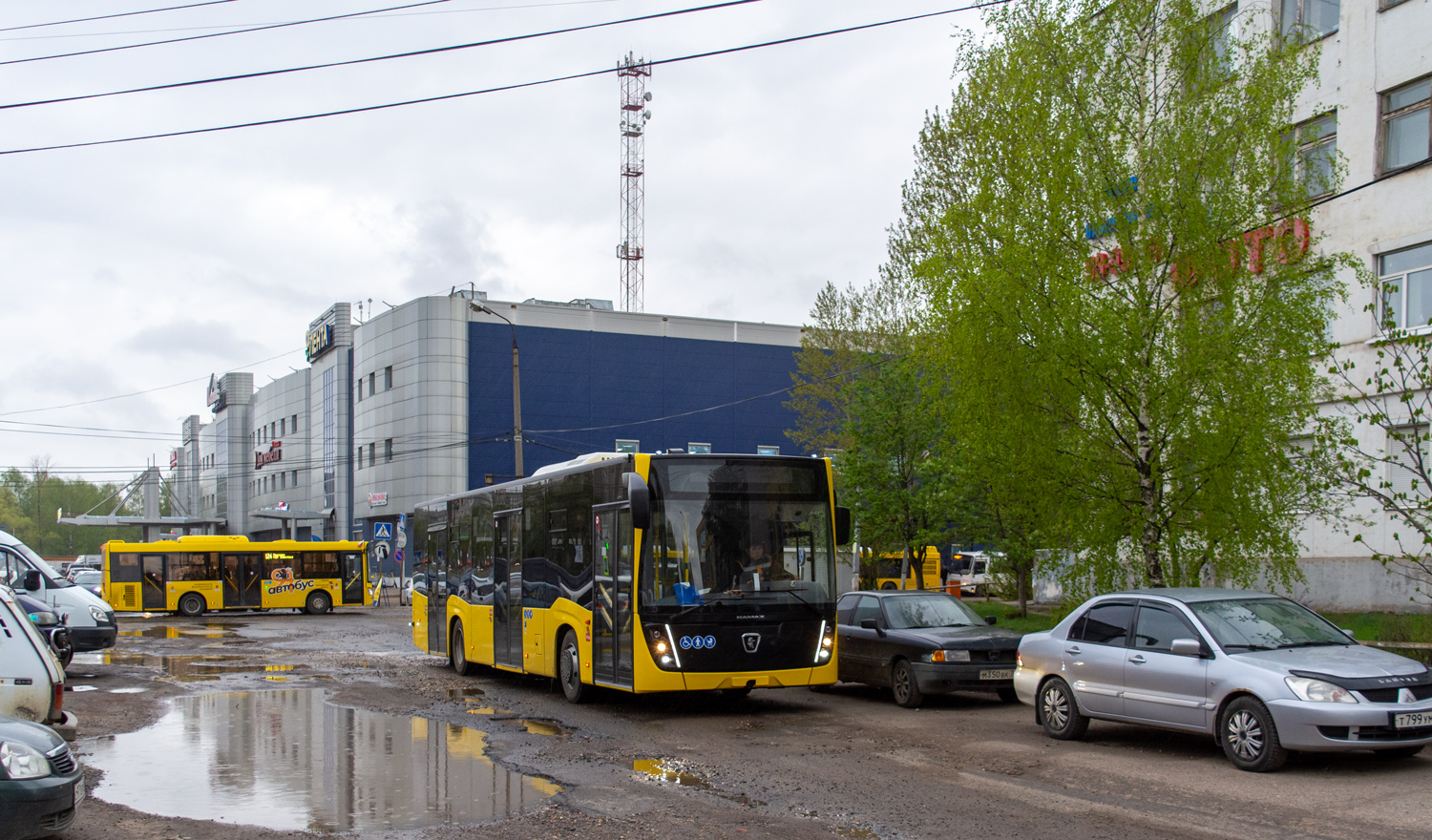 Ярославская область — Новые автобусы