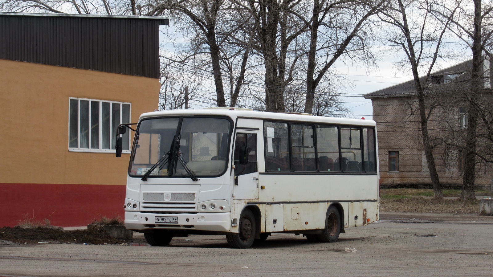 Ленинградская область, ПАЗ-320402-03 № 01210