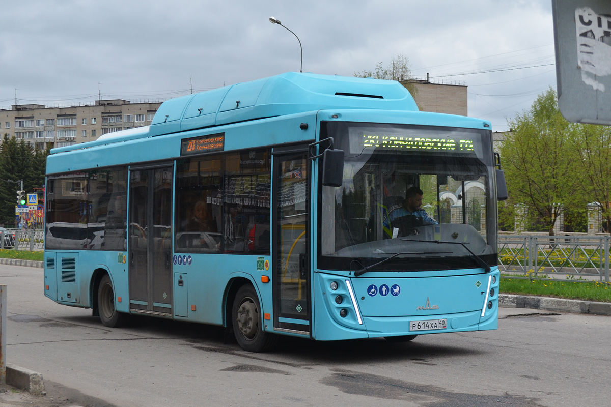 Калужская область, МАЗ-206.948 № Р 614 ХА 40