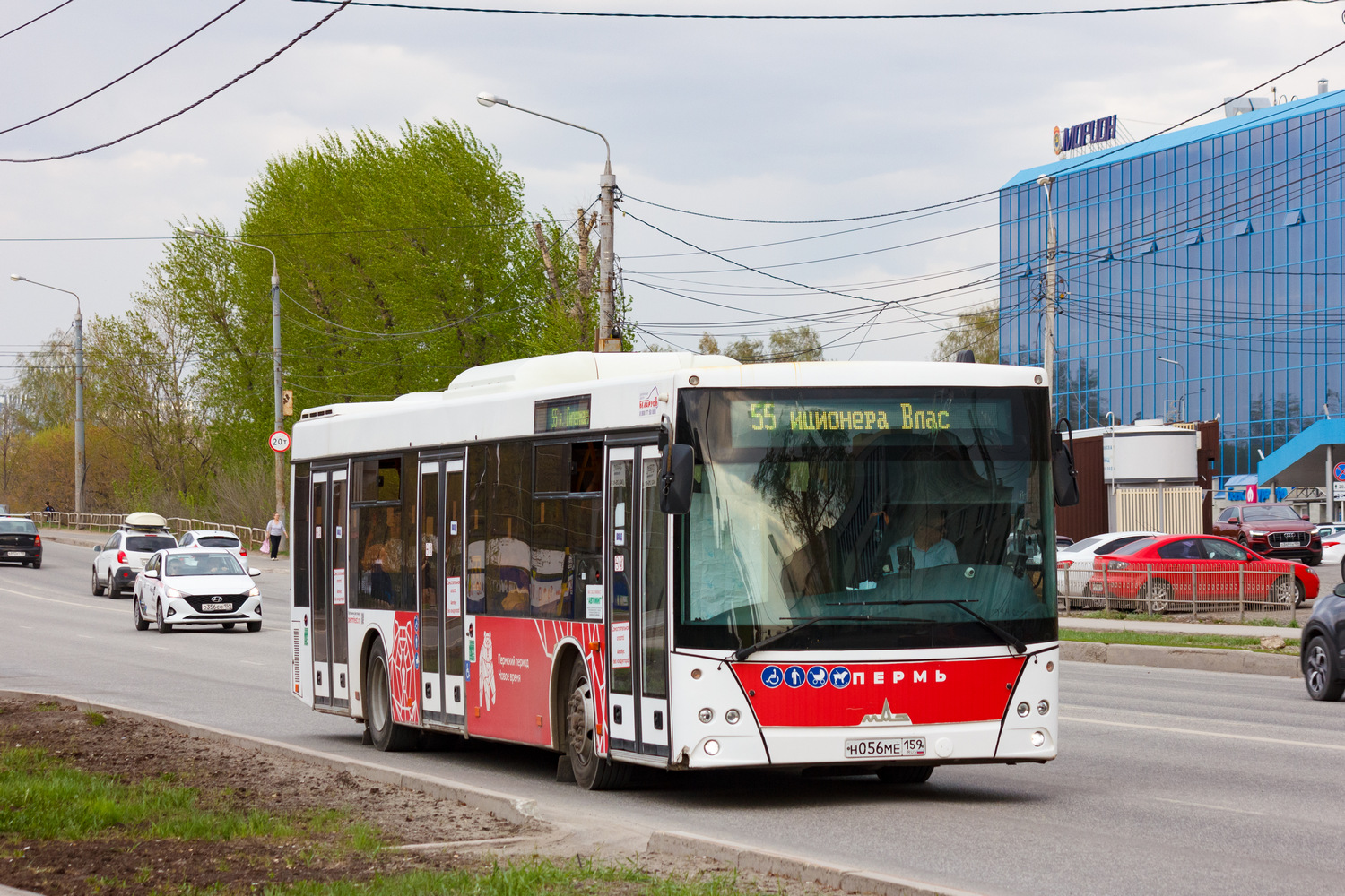 Пермский край, МАЗ-203.016 № Н 056 МЕ 159