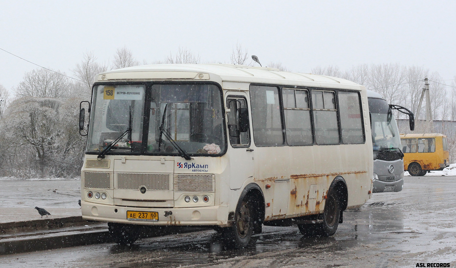 Псковская область, ПАЗ-32053 № 009