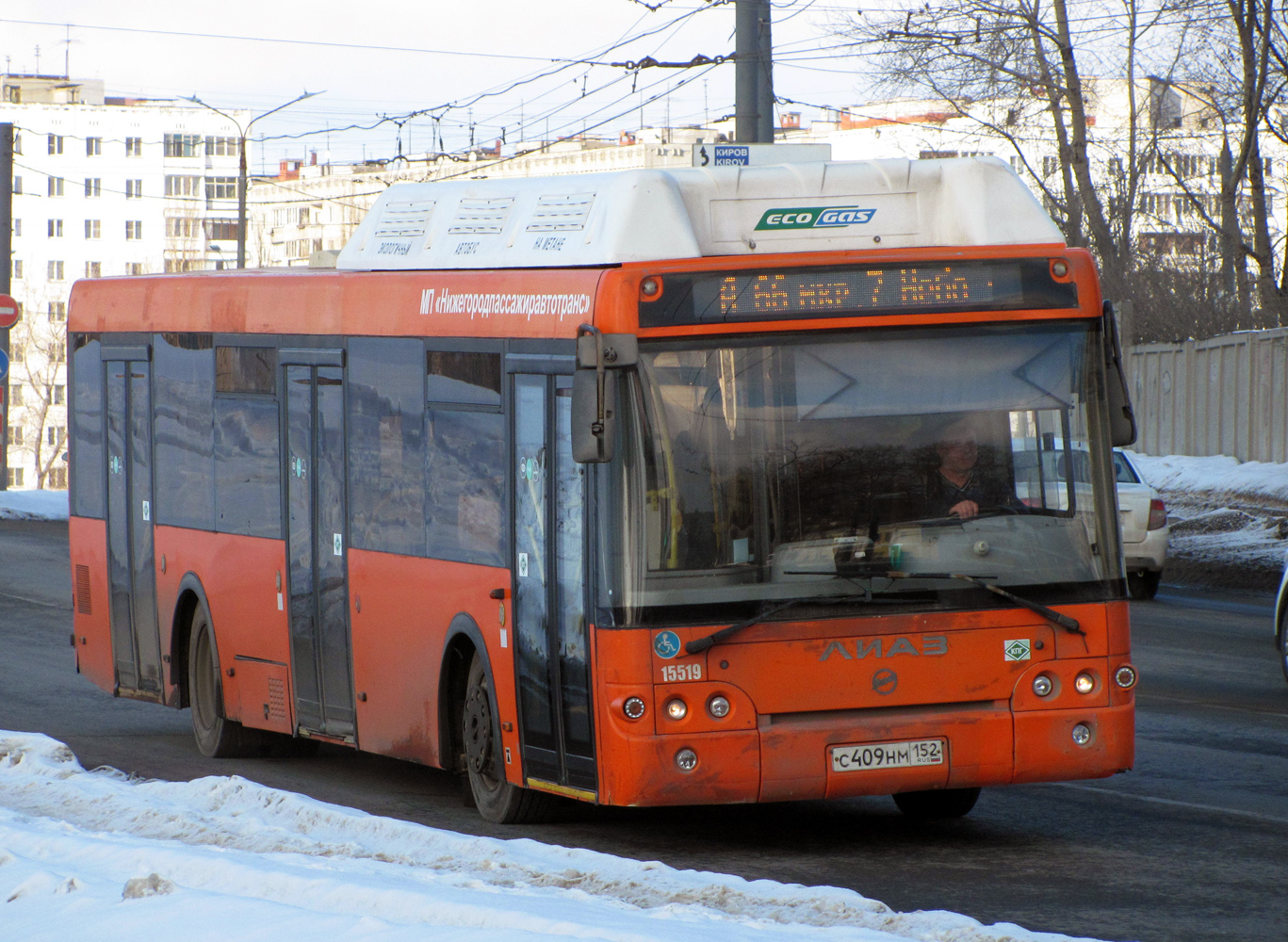 Нижегородская область, ЛиАЗ-5292.67 (CNG) № 15519