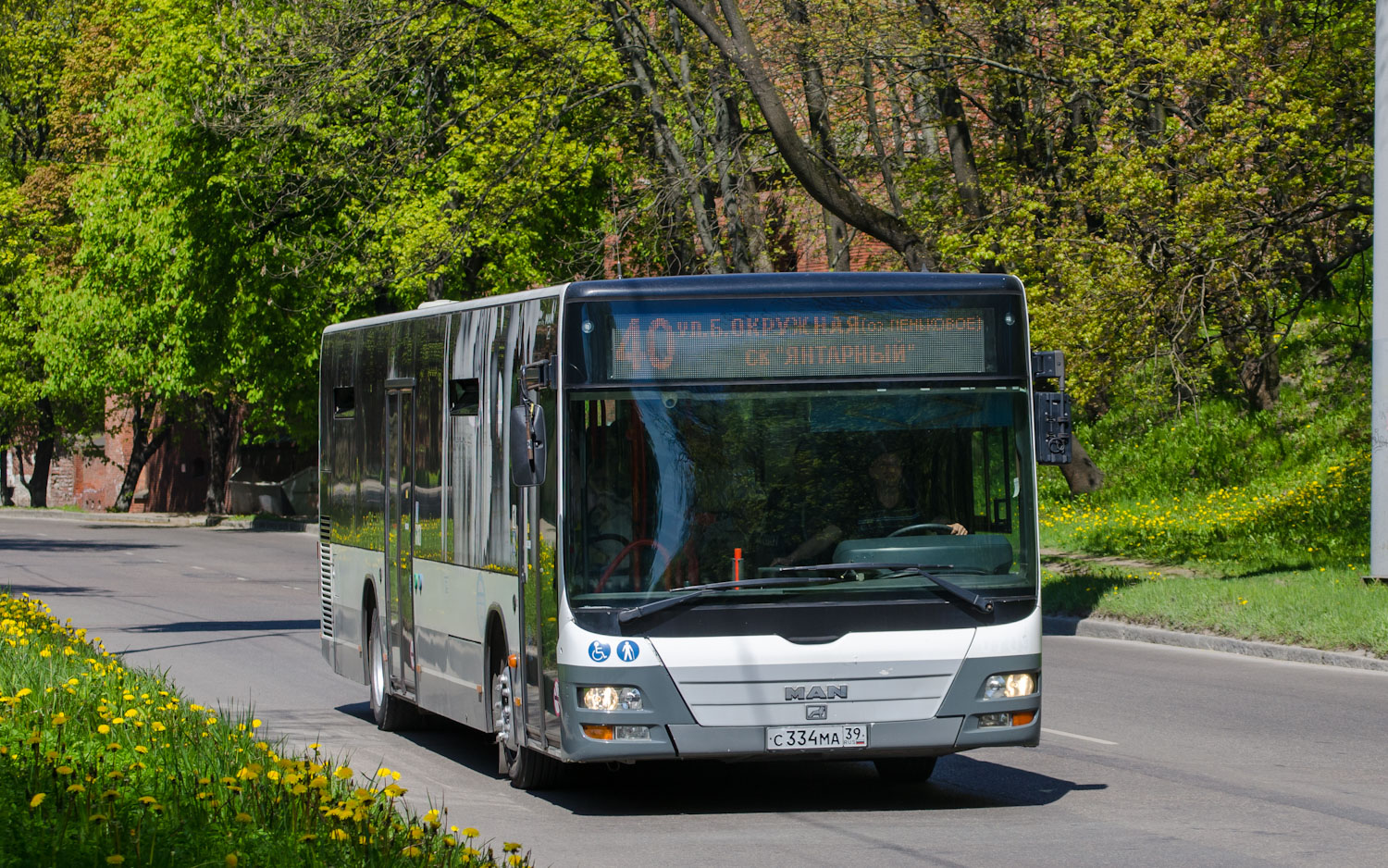 Калининградская область, MAN A21 Lion's City NL273 № С 334 МА 39