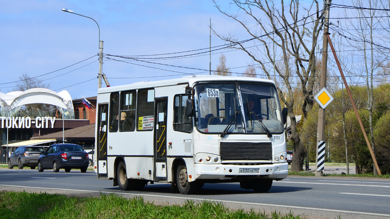 Санкт-Петербург, ПАЗ-320302-11 № 9724