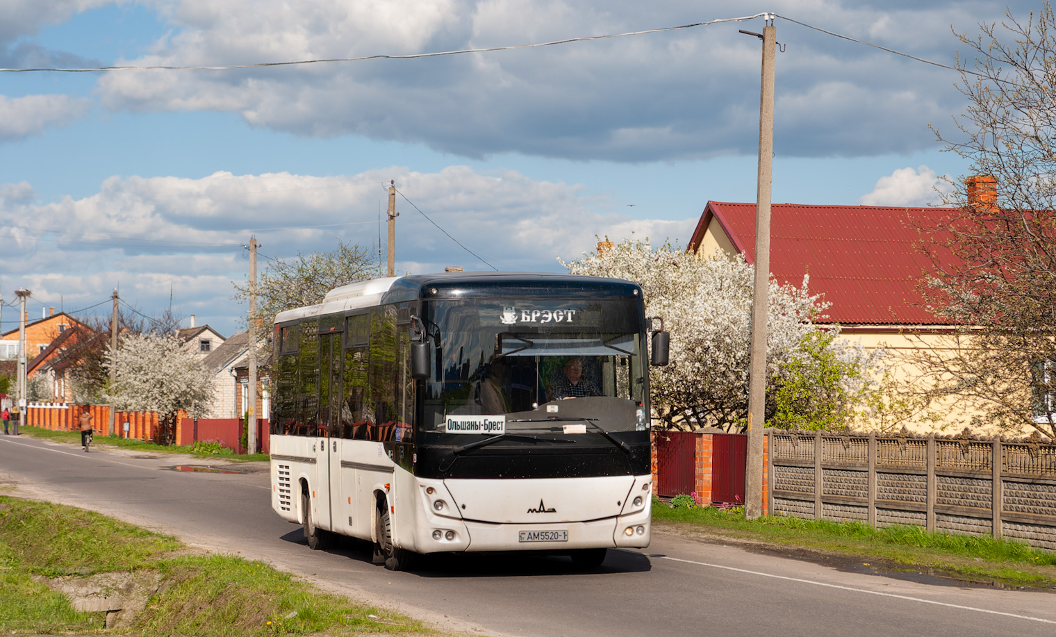 Брестская область, МАЗ-232.162 № 965