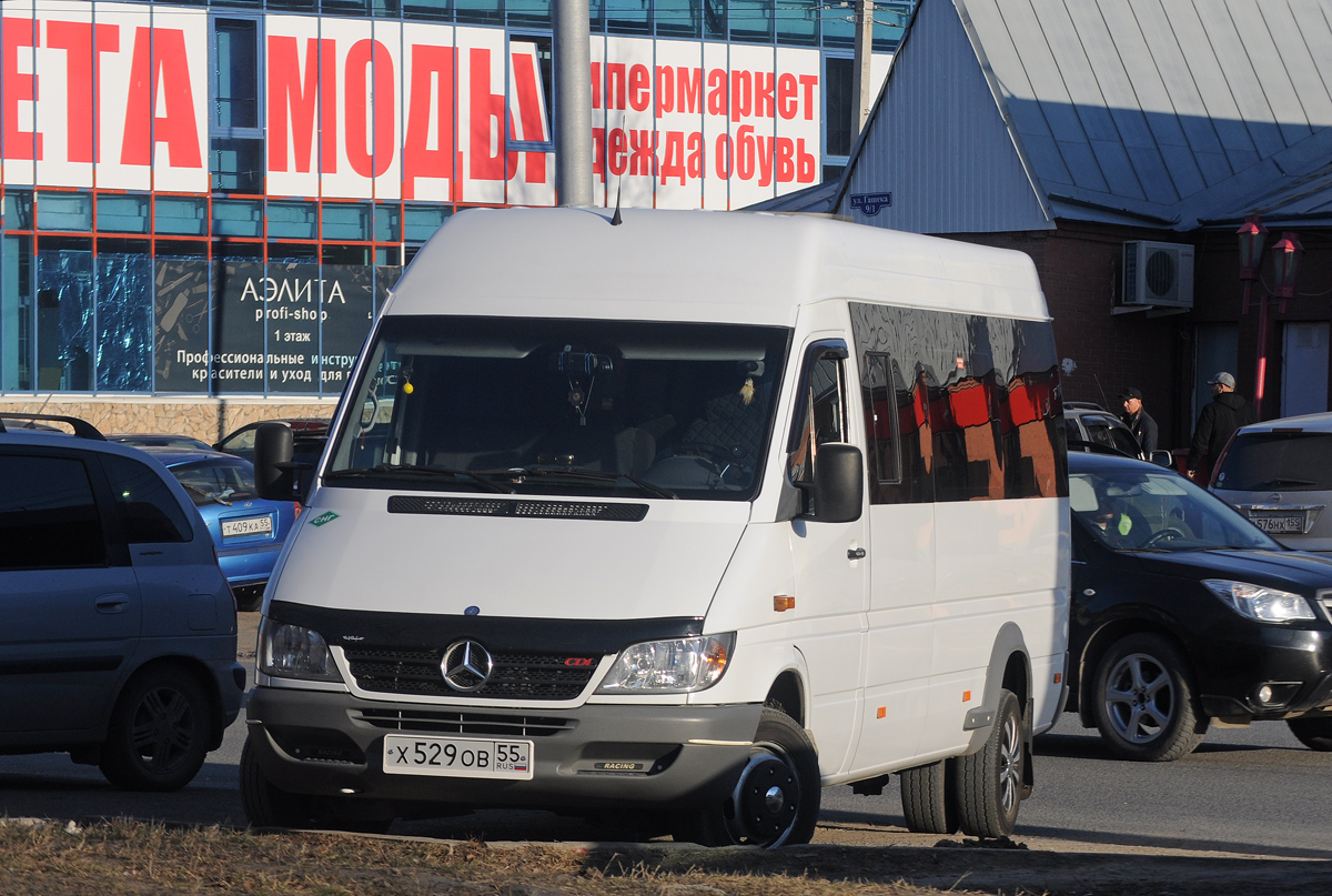 Омская область, Луидор-223201 (MB Sprinter Classic) № Х 529 ОВ 55
