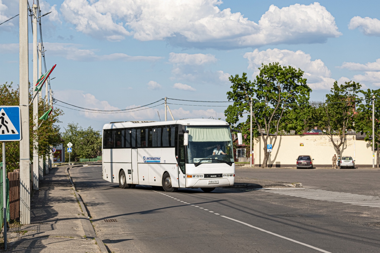 Брестская область, MAN A13 S2000 № 207