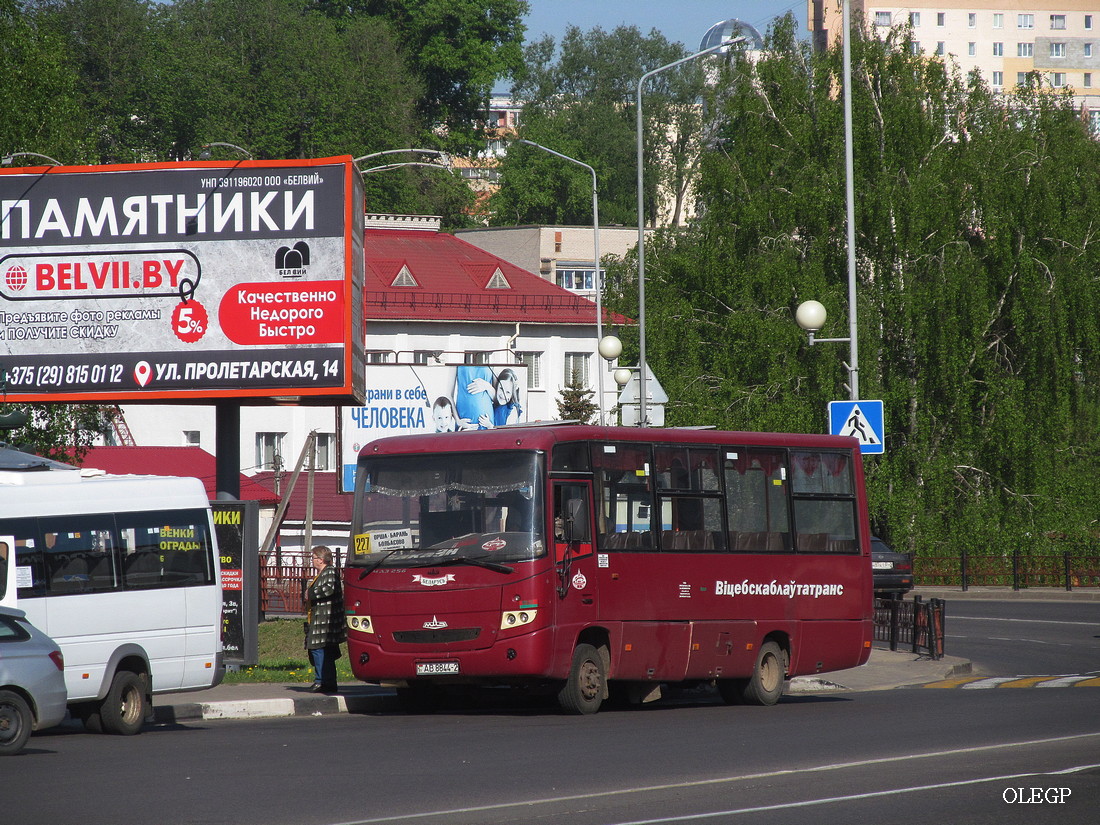 Витебская область, МАЗ-256.270 № 20801