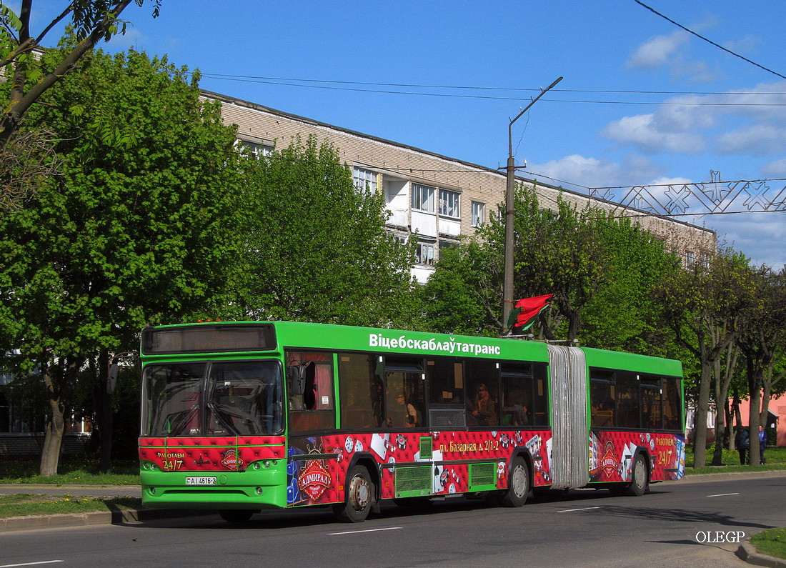 Витебская область, МАЗ-105.465 № 10464