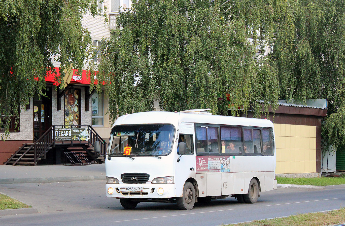 Алтайский край, Hyundai County LWB (ТагАЗ) № В 266 ОМ 161