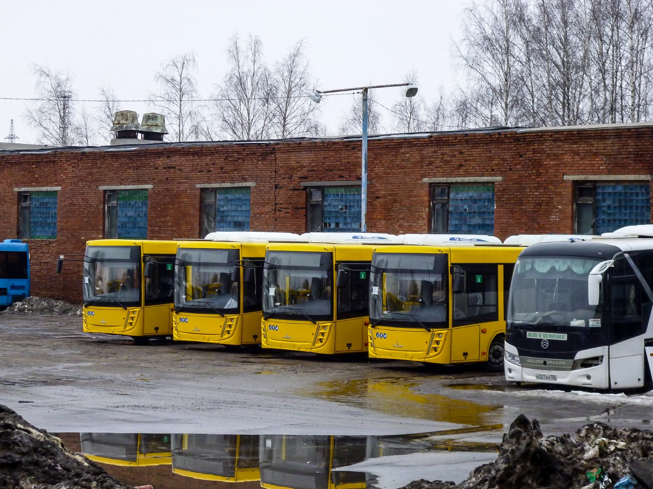 Яраслаўская вобласць — Новые автобусы