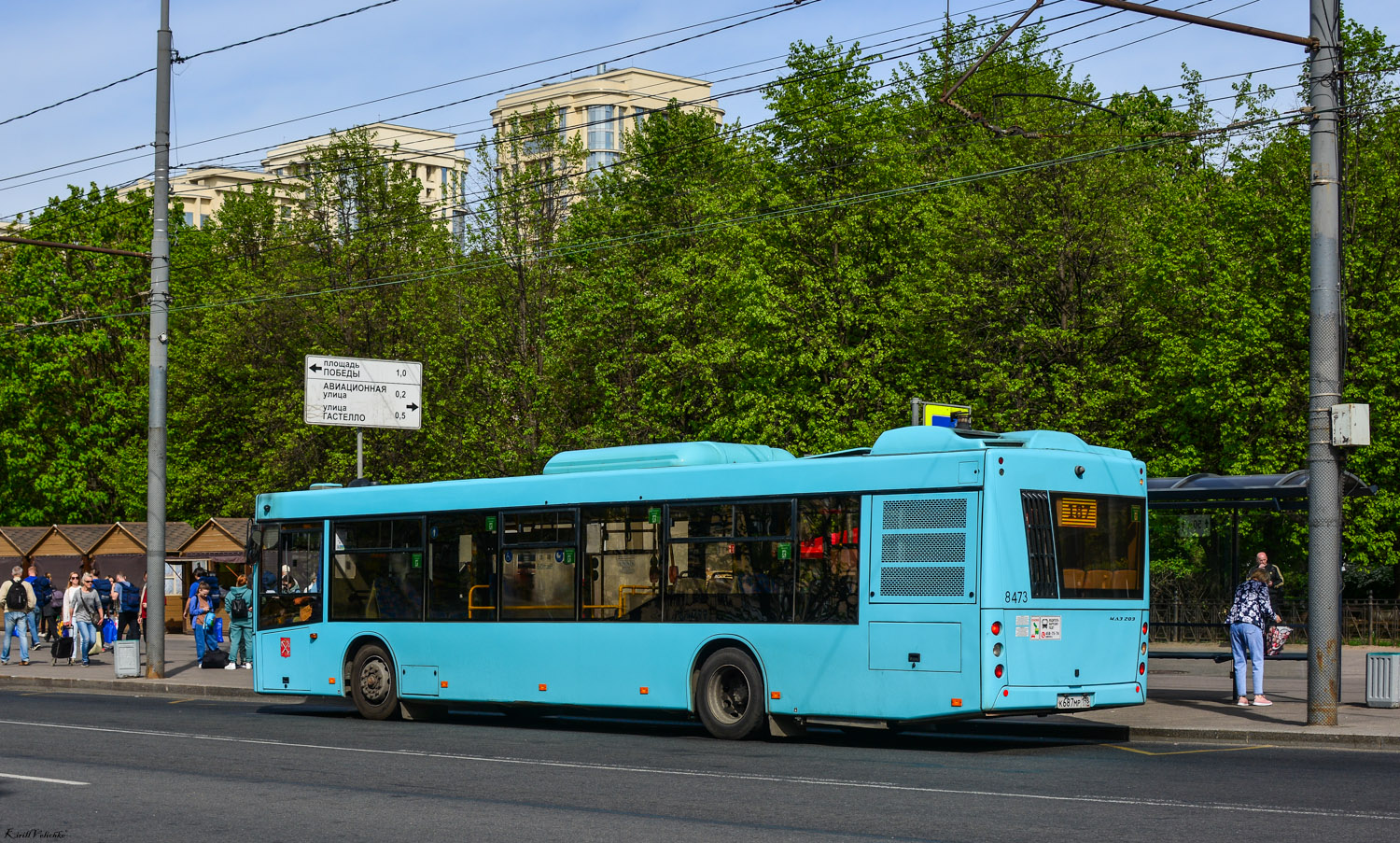 Санкт-Петербург, МАЗ-203.016 № 8473