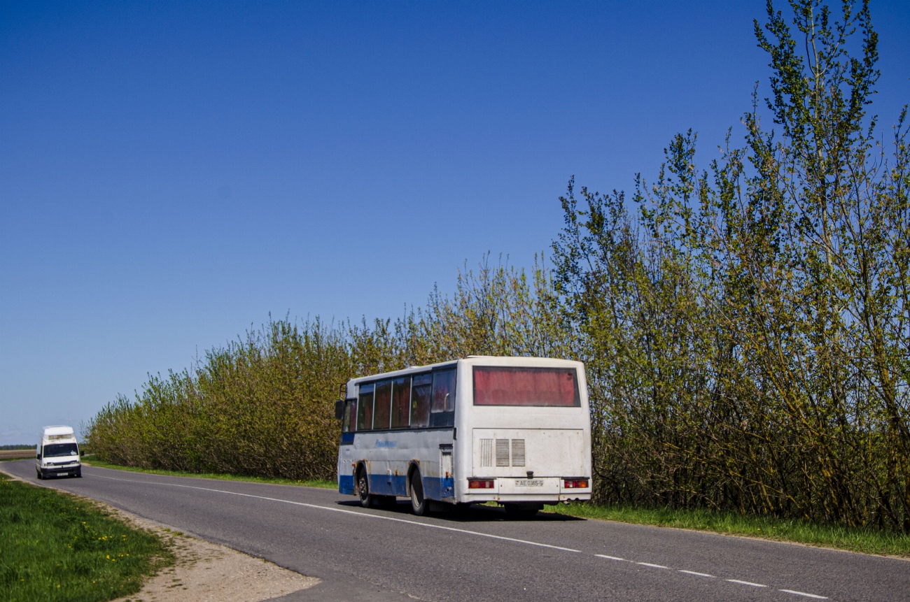 Минская область, ПАЗ-4230-01 (2-2) (КАвЗ) № 808770