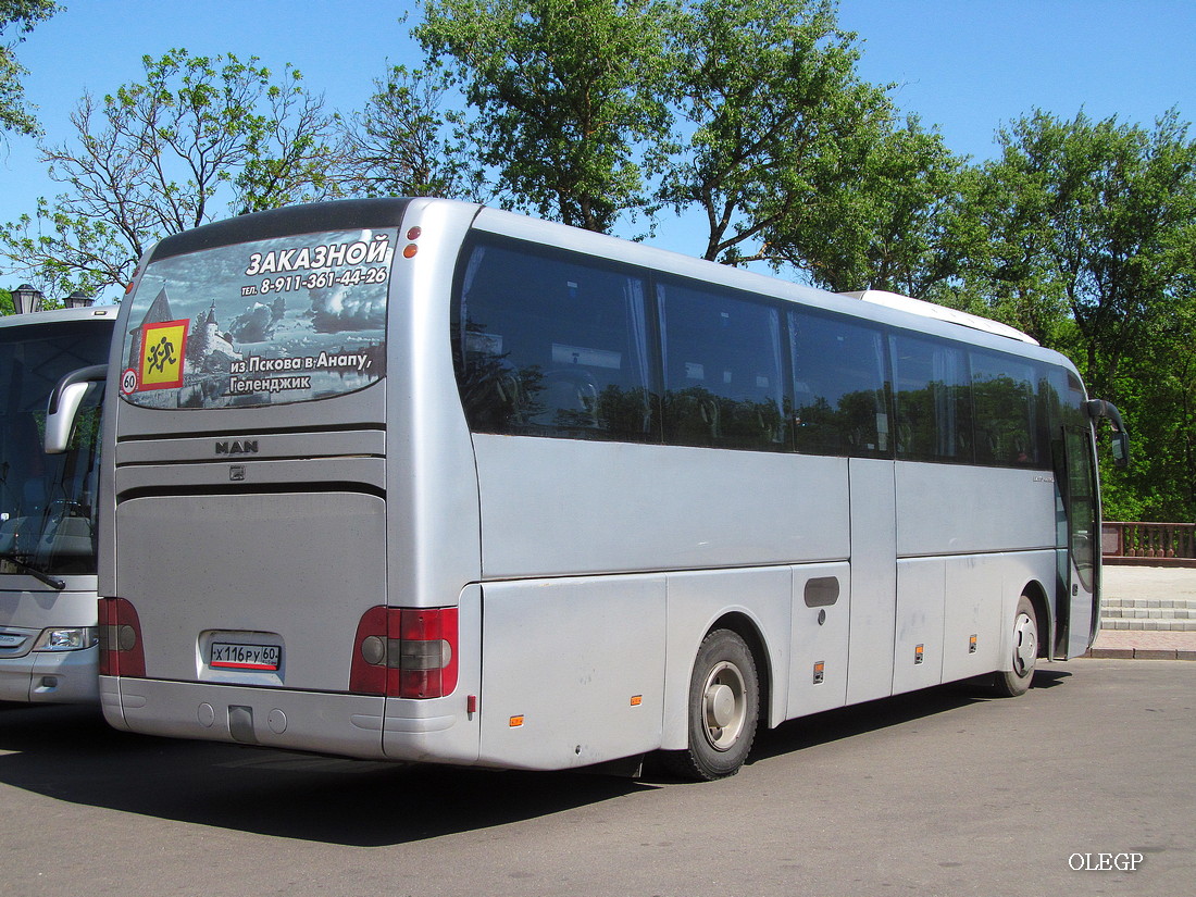 Псковская область, MAN R07 Lion's Coach RHC414 № Х 116 РУ 60