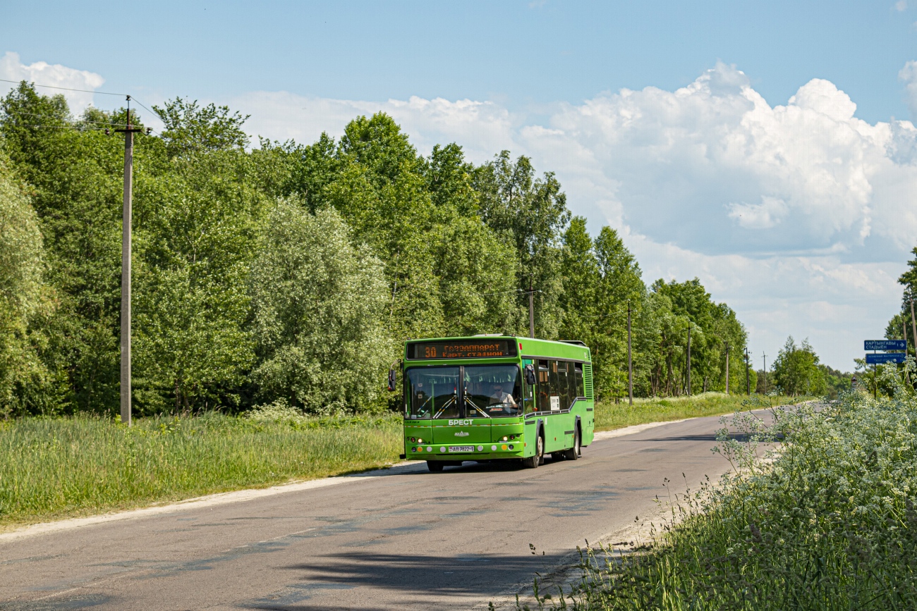 Брестская область, МАЗ-103.465 № 373