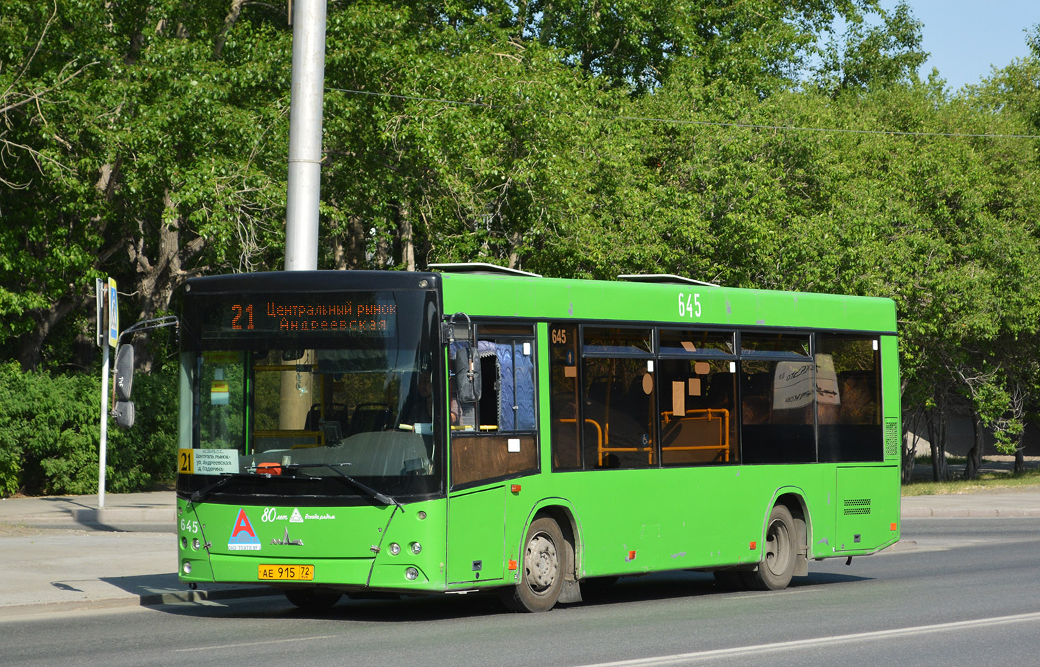 Тюменская область, МАЗ-206.085 № 645