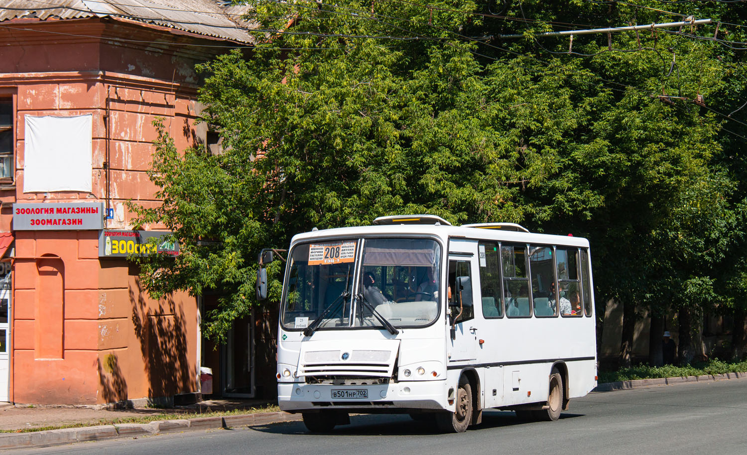 Башкортостан, ПАЗ-320302-08 № В 501 НР 702