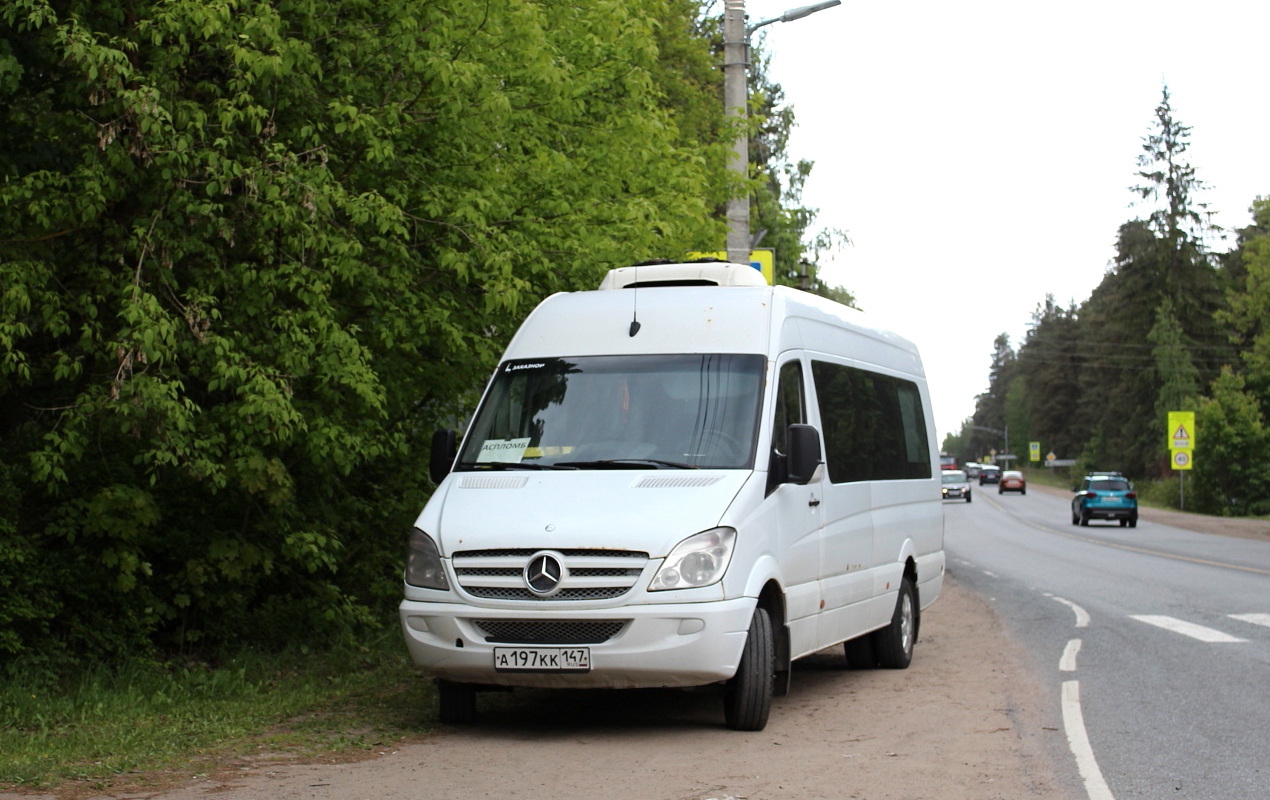 Ленинградская область, Луидор-22360C (MB Sprinter) № А 197 КК 147