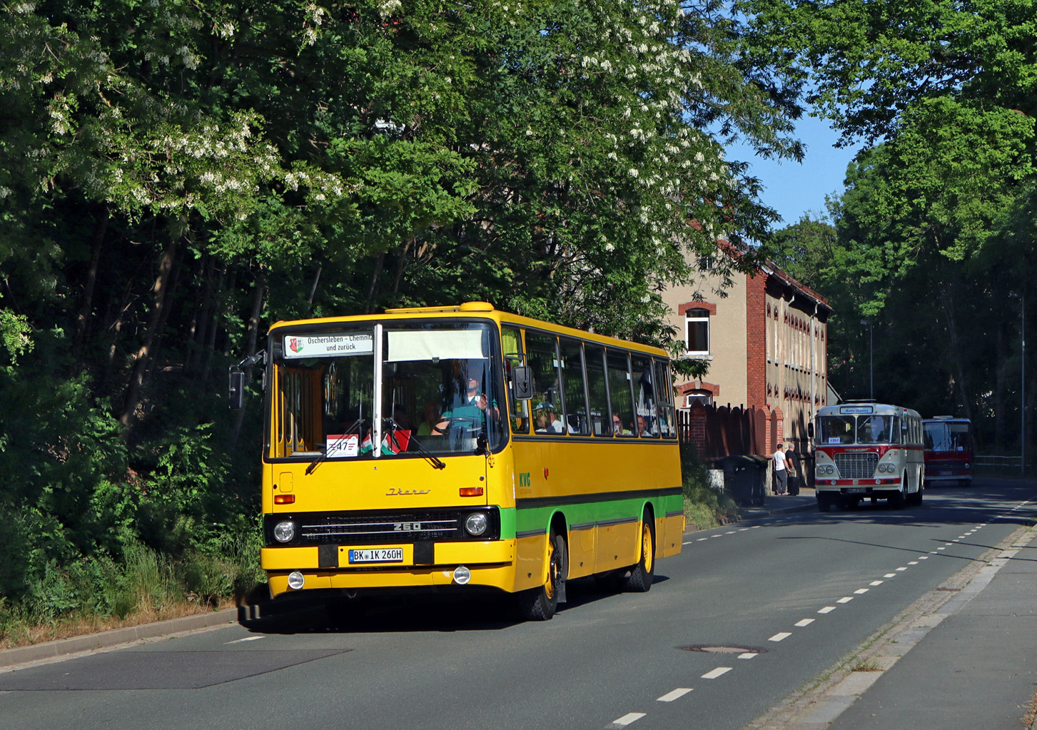 Sasko-Anhaltsko, Ikarus 260.43 č. BK-IK 260H; Sasko — 7. Ikarus-Bus-Treffen in Deutschland — Chemnitz 03.06.2023