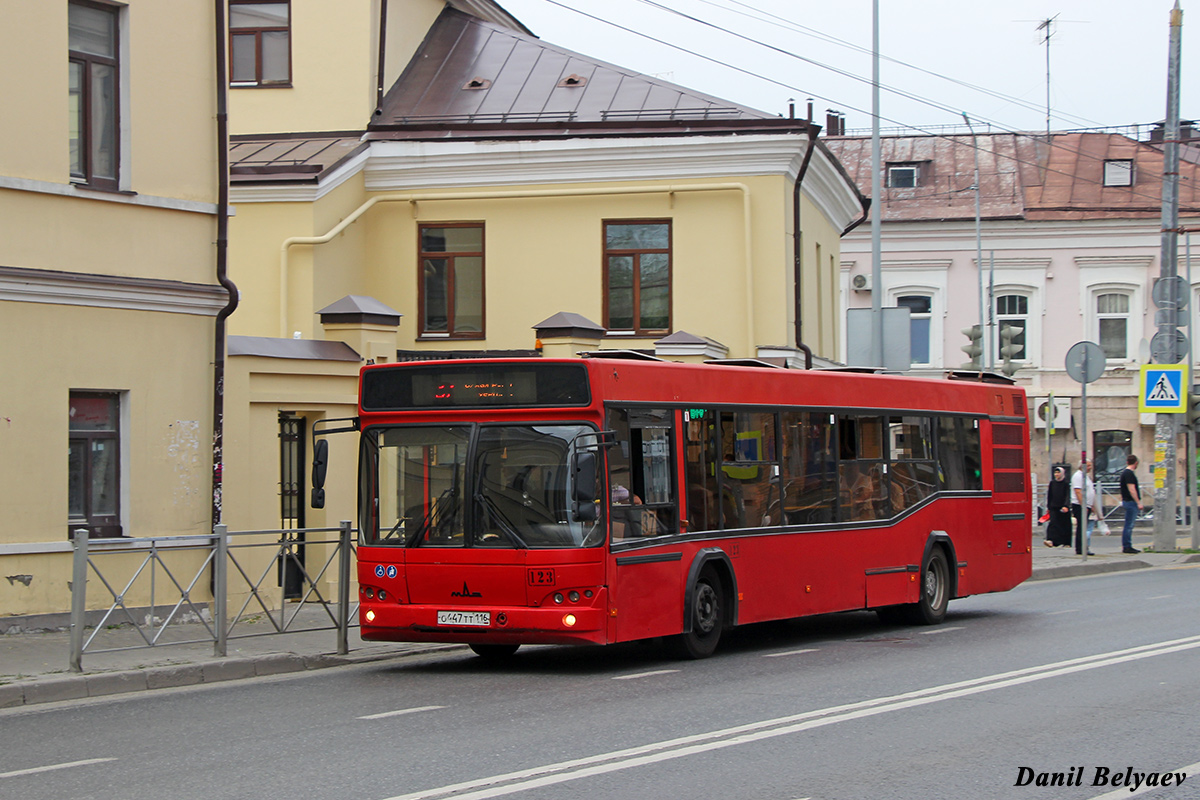 Татарстан, МАЗ-103.465 № 123