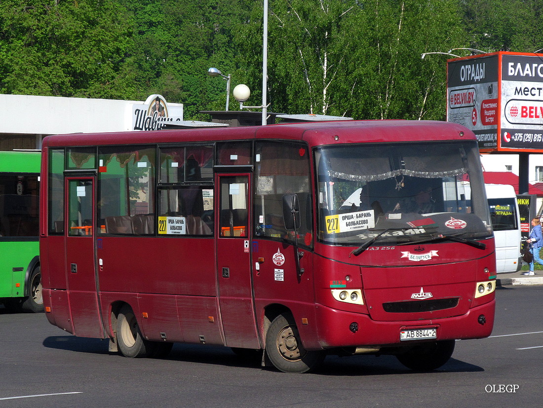 Витебская область, МАЗ-256.270 № 20801