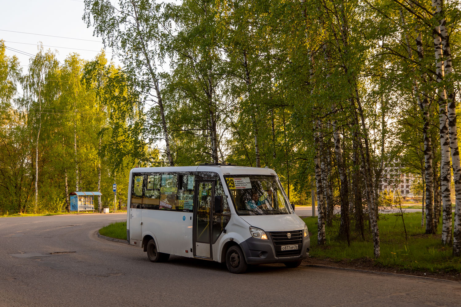 Ярославская область, ГАЗ-A64R42 Next № 956