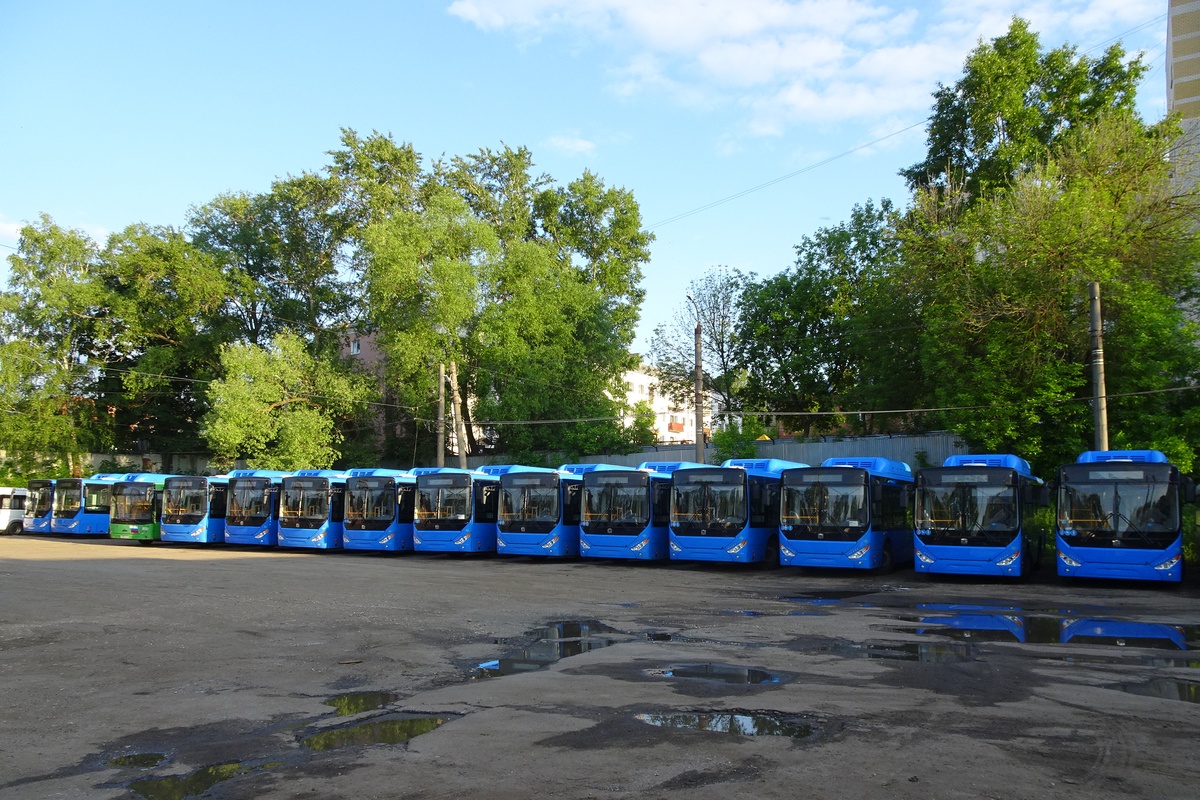 Vladimir region — Buses without numbers