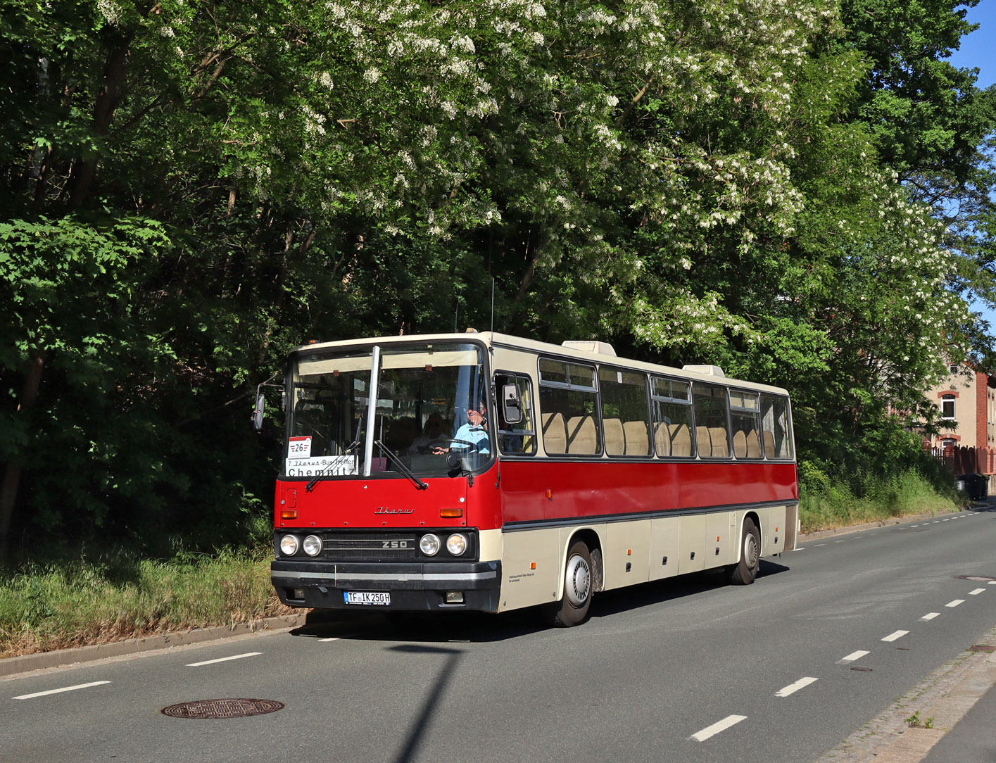 Бранденбург, Ikarus 250.67 № TF-IK 250H; Саксония — 7. Ikarus-Bus-Treffen in Deutschland — Chemnitz 03.06.2023