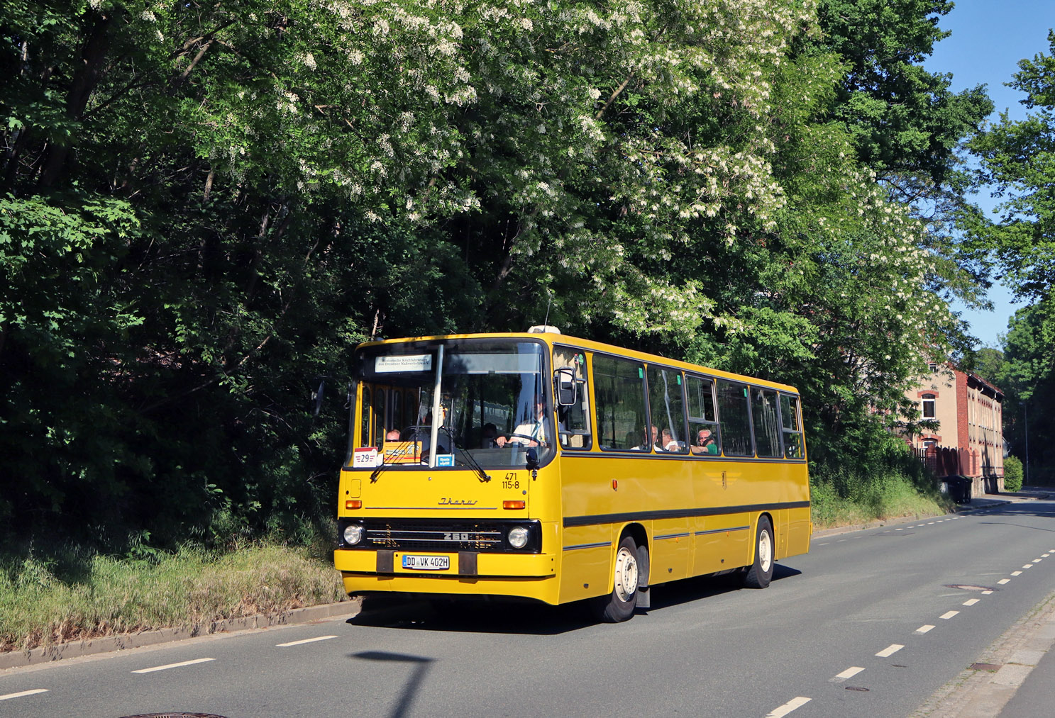 Saxony, Ikarus 260.02 Nr. 471 115-8; Saxony — 7. Ikarus-Bus-Treffen in Deutschland — Chemnitz 03.06.2023