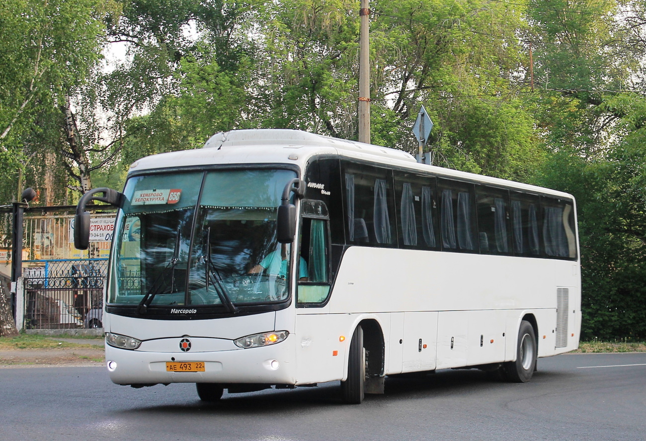 Алтайский край, Marcopolo Andare  850 (ГолАЗ) № АЕ 493 22