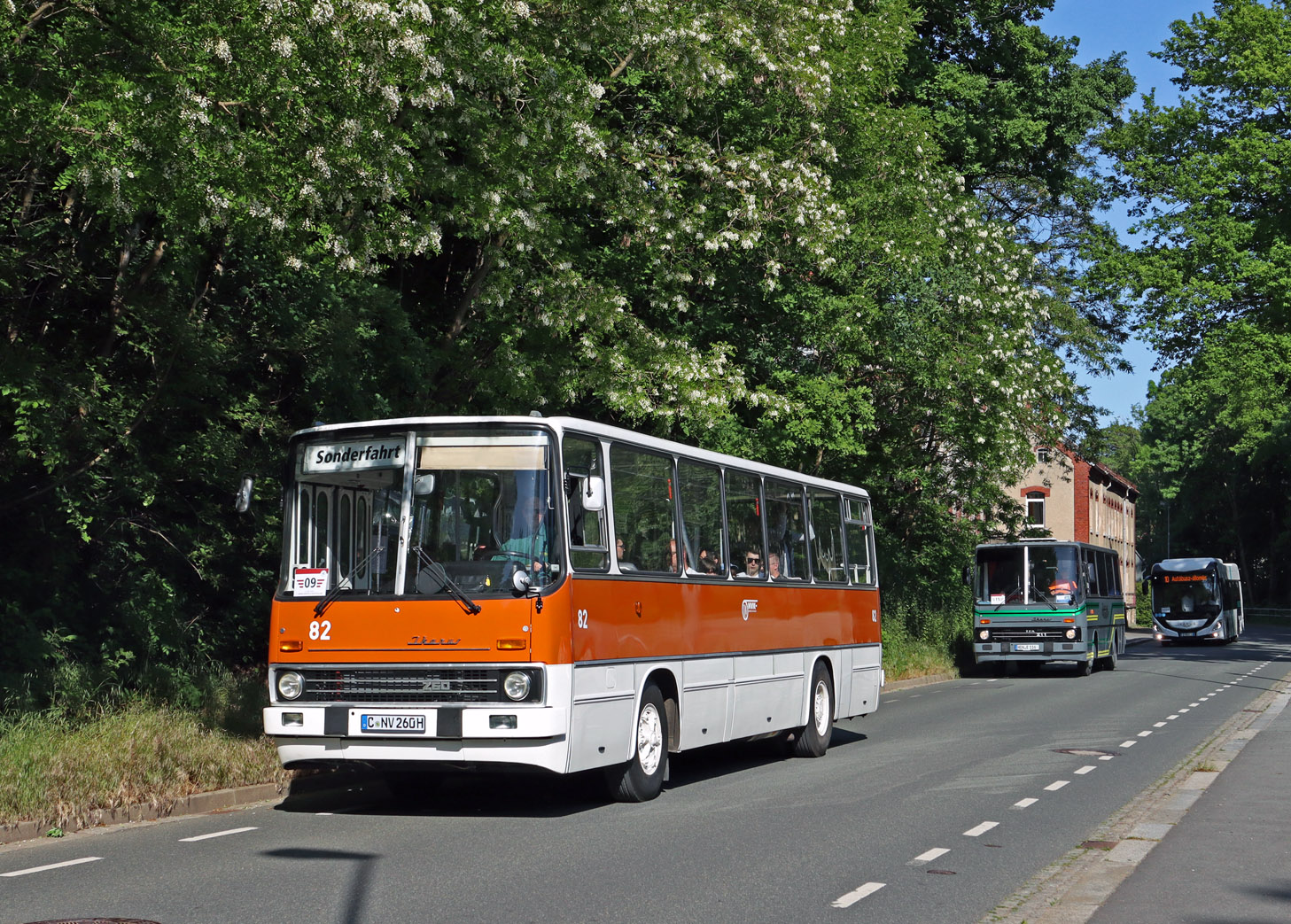 Saxony, Ikarus 260.02 # 82; Saxony — 7. Ikarus-Bus-Treffen in Deutschland — Chemnitz 03.06.2023