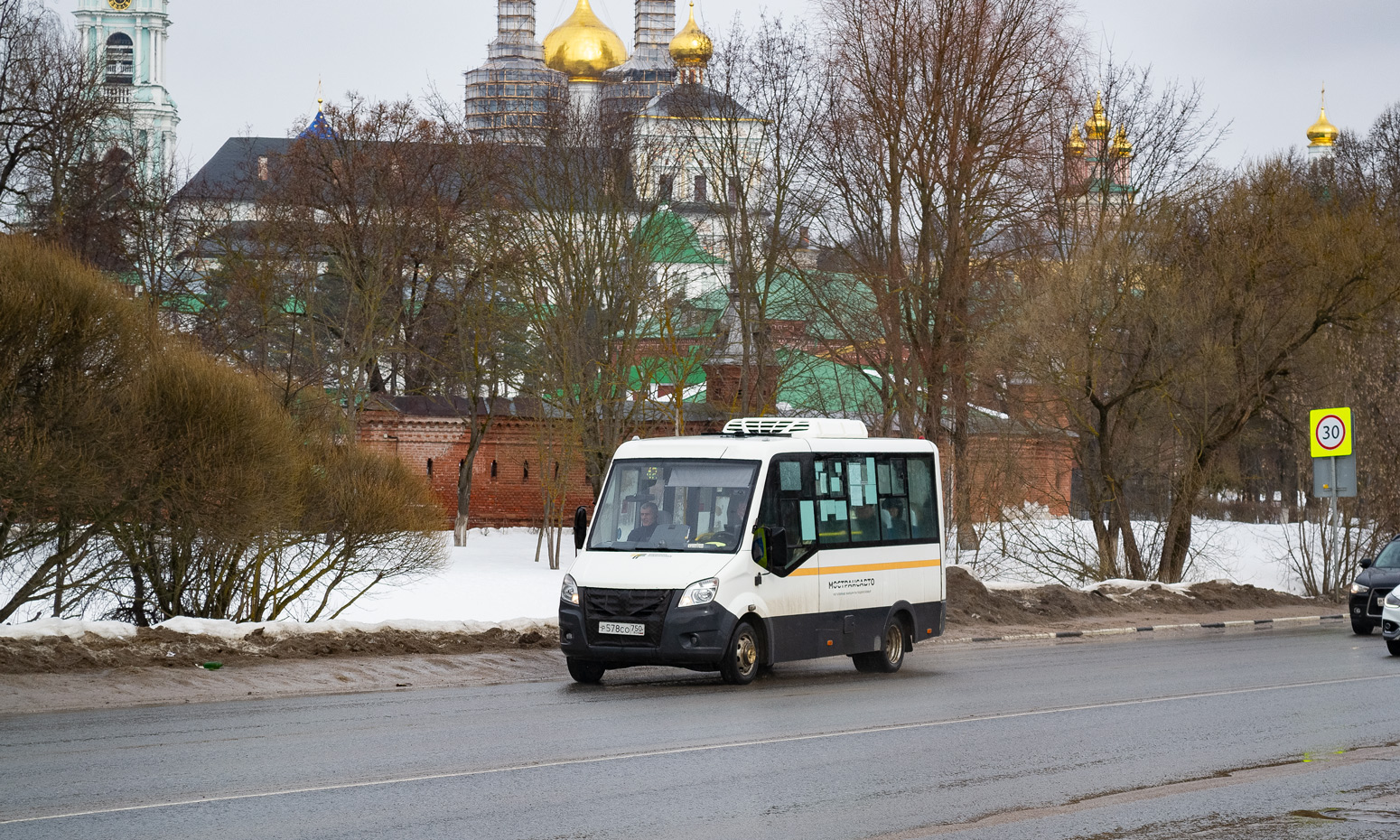 Московская область, Луидор-2250DS (ГАЗ Next) № 107578