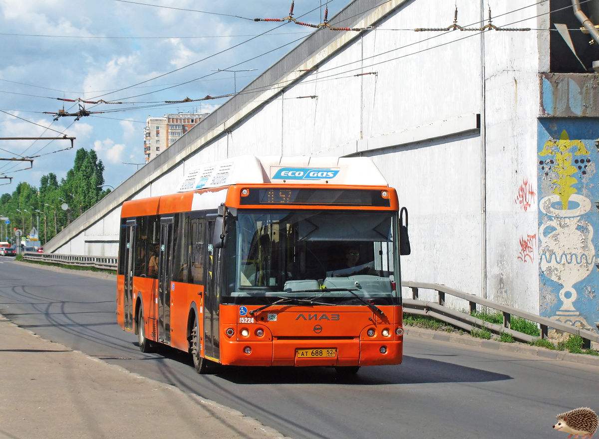 Nizhegorodskaya region, LiAZ-5292.67 (CNG) № 15224