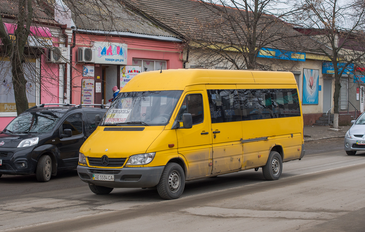 Днепропетровская область, Mercedes-Benz Sprinter W903 313CDI № AE 5534 CA