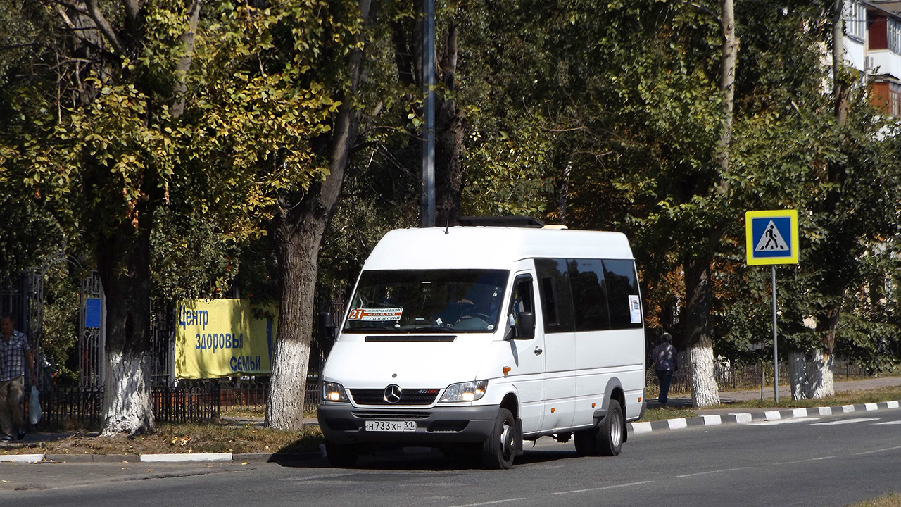 Белгородская область, Луидор-223201 (MB Sprinter Classic) № Н 733 ХН 31