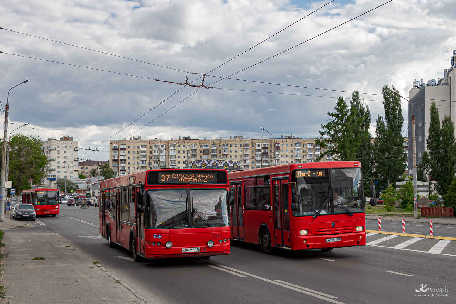 Татарстан, МАЗ-103.465 № 101