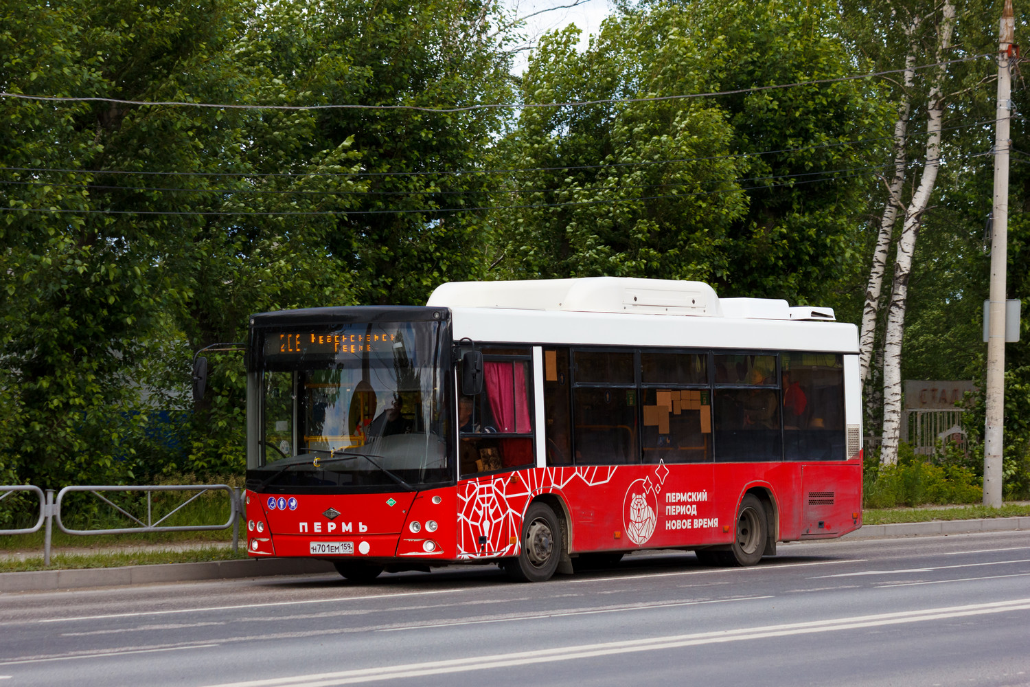 Пермский край, Lotos-206 № Н 701 ЕМ 159