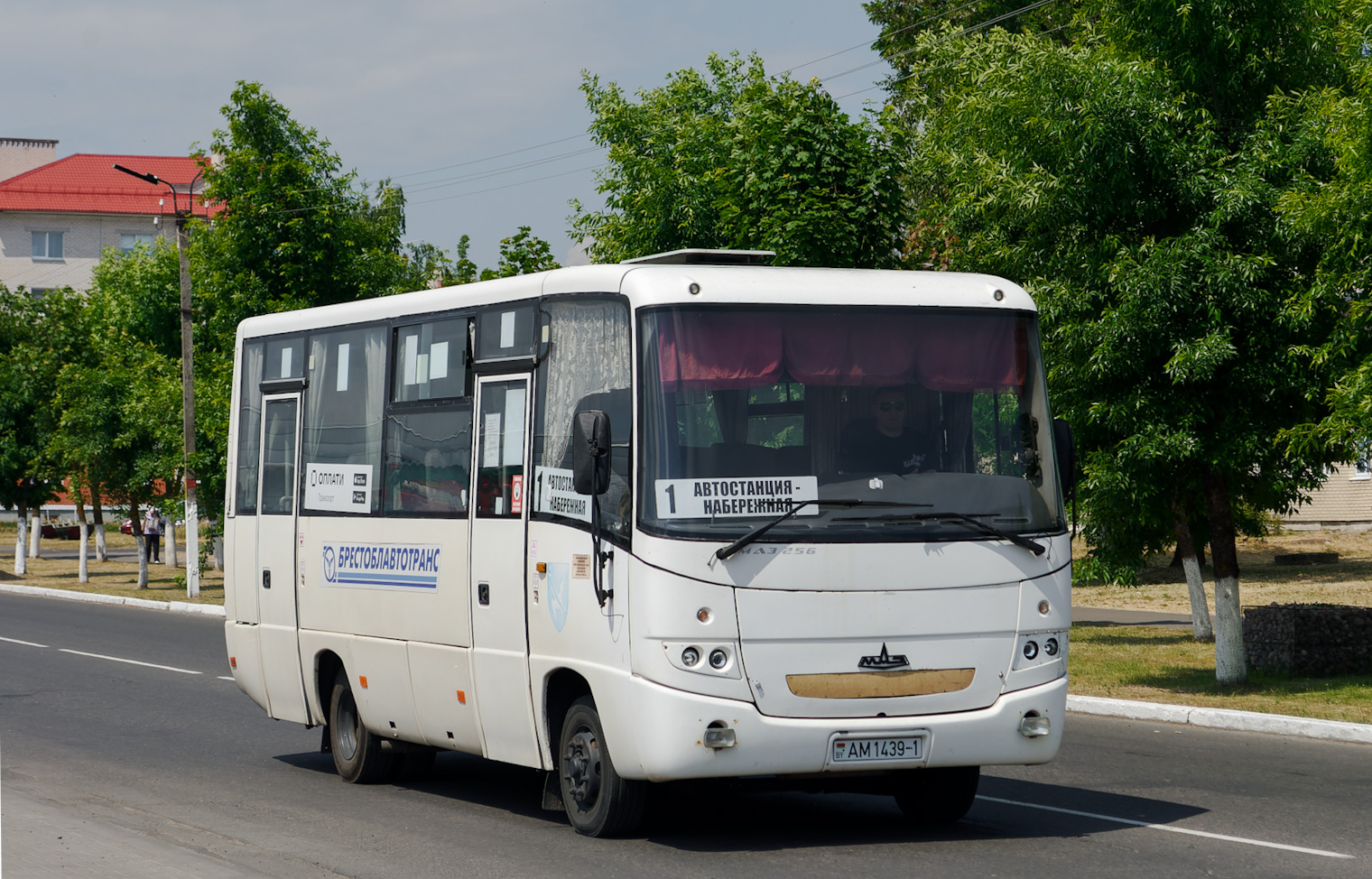 Брестская область, МАЗ-256.170 № АМ 1439-1